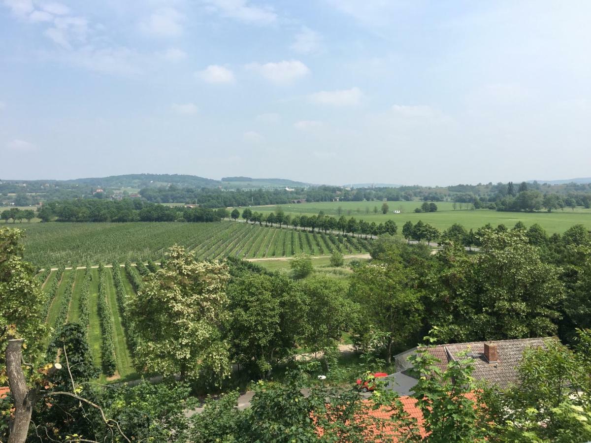 Ferienwohnung Zum Saaletalblick Naumburg  Luaran gambar